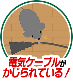 電気ケーブルがかじられている！