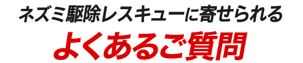 ネズミ駆除レスキューに寄せられるよくあるご質問