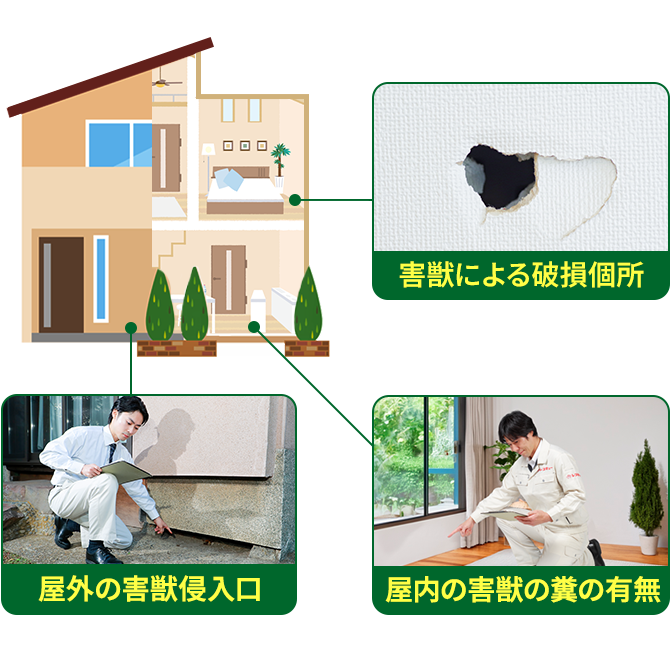 ネズミ駆除のプロがこんな場所を調査します