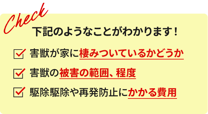 下記のようなことがわかります! ネズミが家に棲みついているかどうか ネズミの被害の範囲、程度 駆除や再発防止にかかる費用