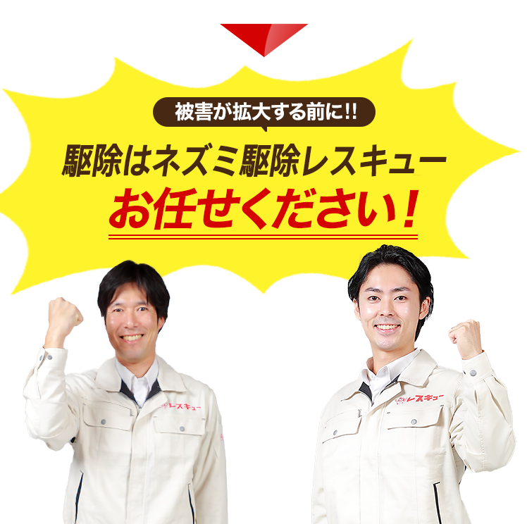 被害が大きくなる前に駆除はネズミ駆除レスキューにお任せください!