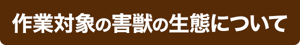 作業対象のネズミの生態について
