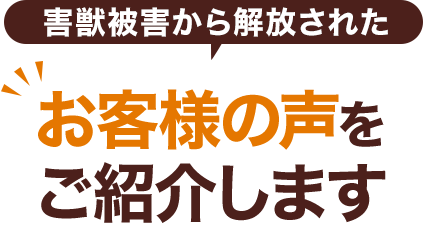ネズミ被害から解放されたお客様の声をご紹介します