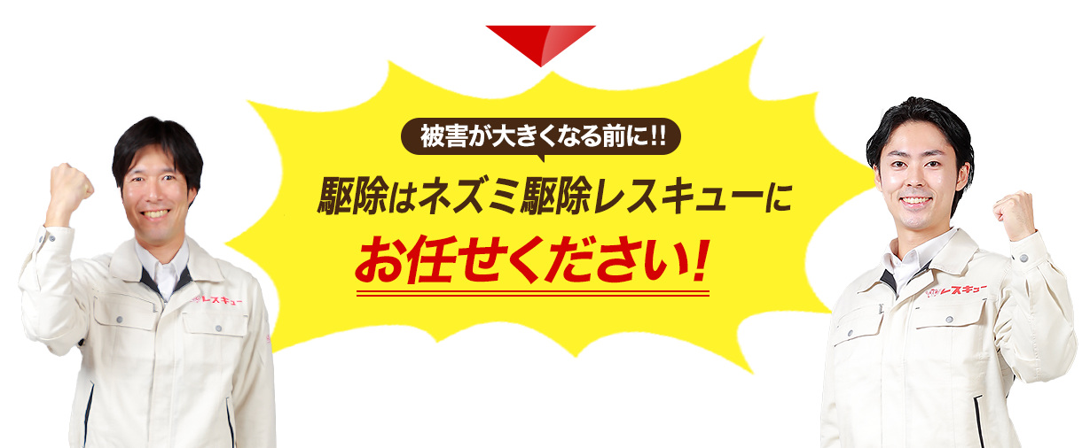 被害が大きくなる前に!駆除はネズミ駆除レスキューにお任せください!
