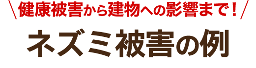 健康被害から建物への影響まで！ネズミ被害の例