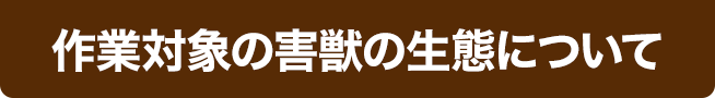 作業対象のネズミの生態について